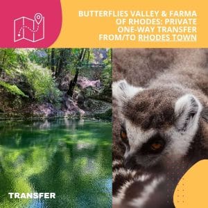 Butterflies Valley & Farma of Rhodes: Private One-WayTransfer From/To Rhodes Town - (Up to 19 Passengers)