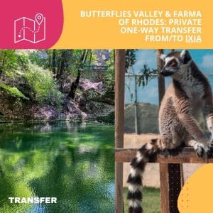 Butterflies Valley & Farma of Rhodes: Private One-WayTransfer From/To Ixia- up to 19 Passengers