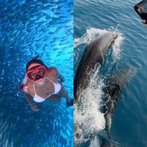 Marine Life Experience: Dolphin Watching & Snorkeling Cruise