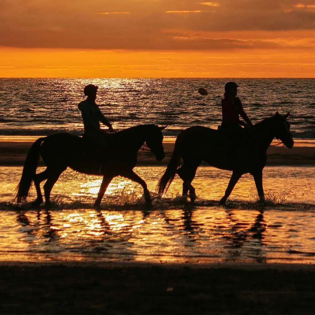 Sunset Horseback Riding at the Beach - Island Tour Rhodes By GoTixy