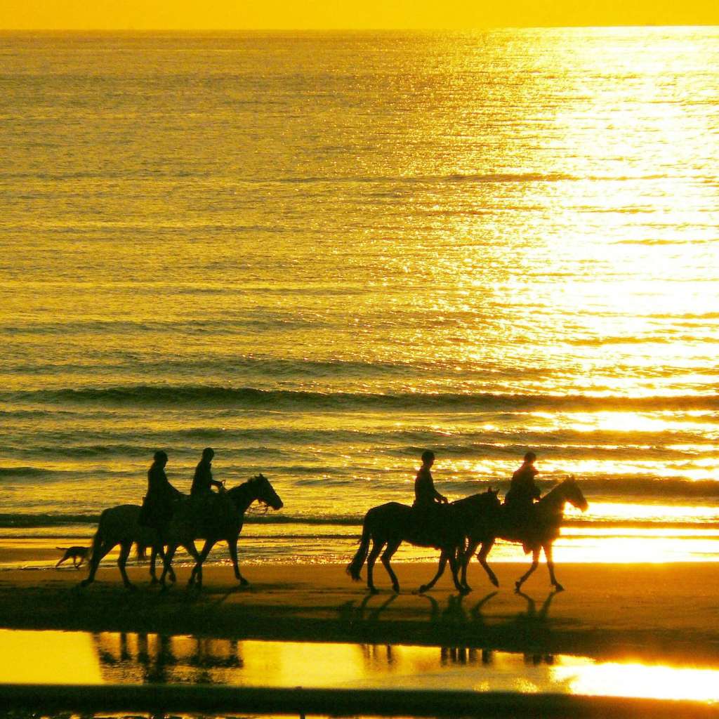 group horse riding