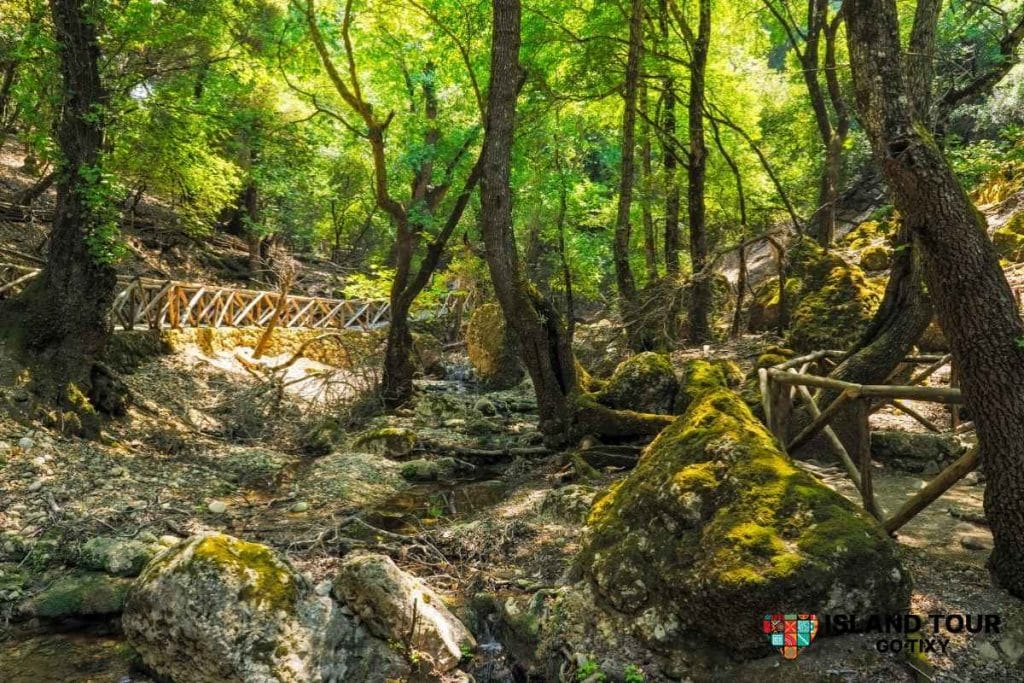 Wooden bridges and shaded forest scenery in Rhodes, featured in Butterflies Valley Tours through Petaloudes.