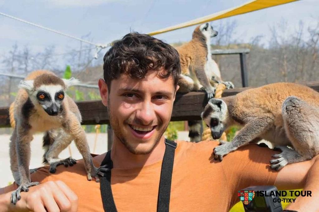 Visitor interacting with lemurs at Farma of Rhodes, a family-friendly stop often combined with Butterflies Valley Tours.