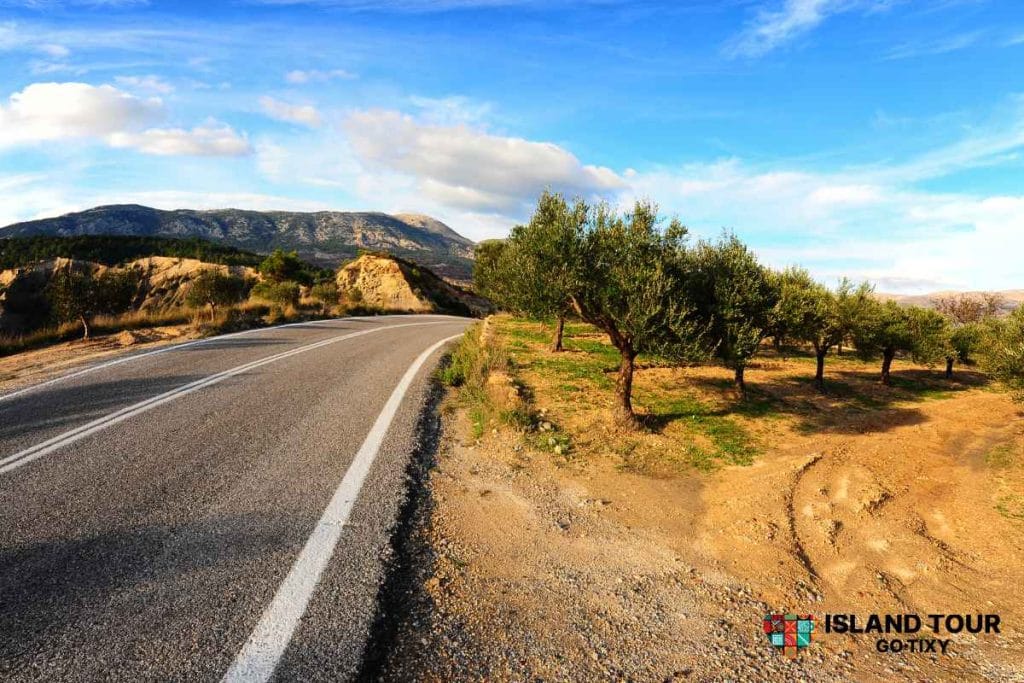 Scenic road landscape in Rhodes connected with Rhodes Airport Transfers across the island’s inland and coastal routes.