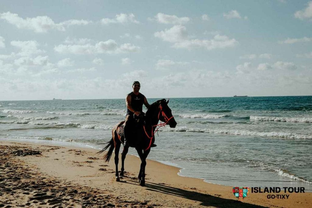 Horse riding along the beach during a Rhodes Horseback Riding experience.
