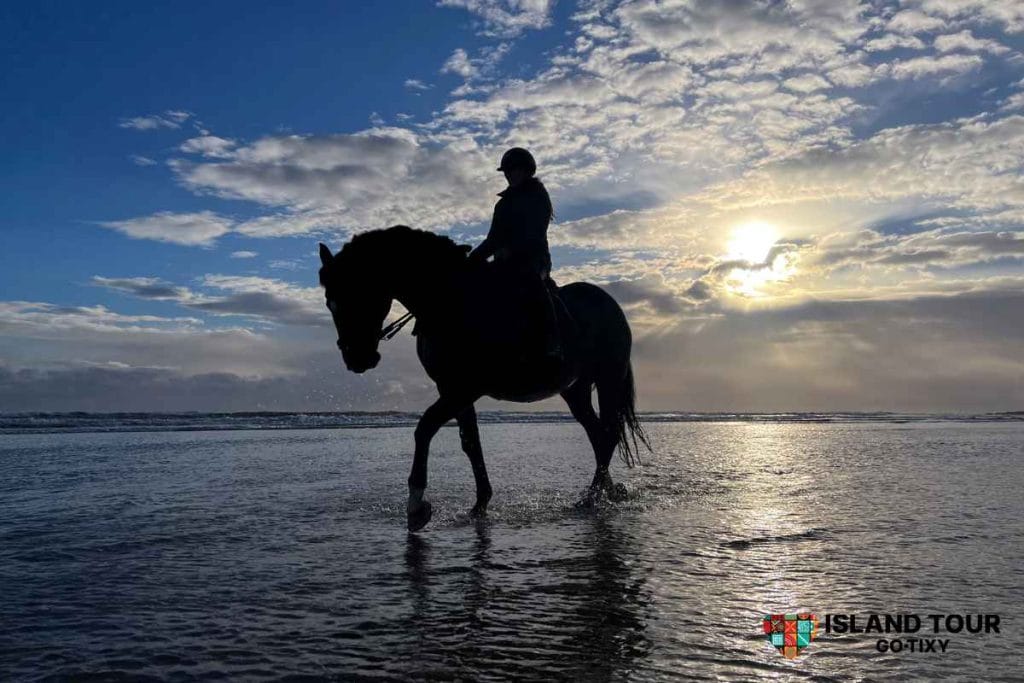 Rhodes Horseback Riding 3 1 - Island Tour Rhodes By GoTixy